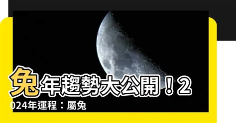 兔年2024年運程 紅色蘭花